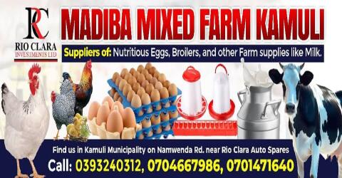 Madiba Mixed Farm